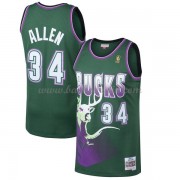 Milwaukee Bucks 1996-97 Ray Allen 34# Green Hardwood Classics..